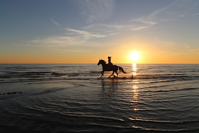 Vapaus - hevosen selässä auringonlaskun aikaan