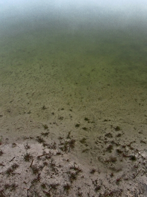 Brouillard sur le lac de baignade