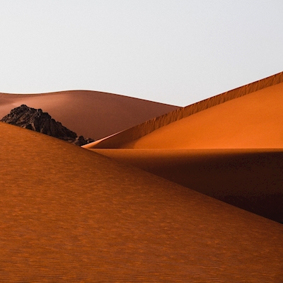 De vormen van de woestijn
