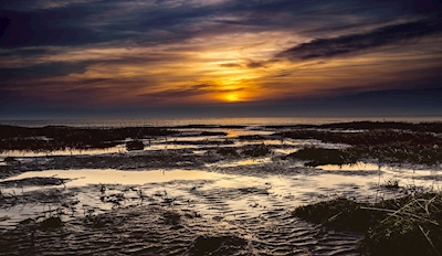 Beautiful sunset in the Wadden