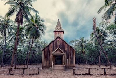 Jungle church