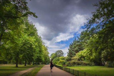 De hemel over Kensington Gardens