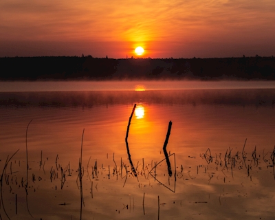 Auringonnousu järven harjalla