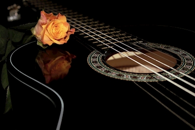 Musta kitara oranssin ruusun kanssa