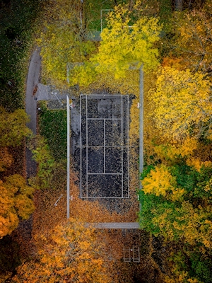 Tennis court in fall colors