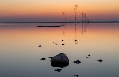 Stone in the Wadden Sea