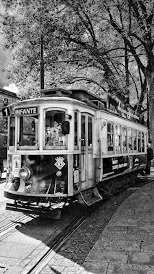 Line 1 Tram, Porto