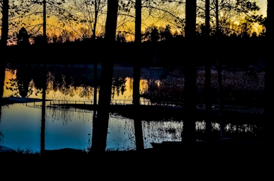 Auringonnousu järven rannalla