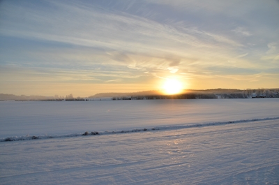 De zon van de winter