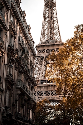 Efterår i Paris