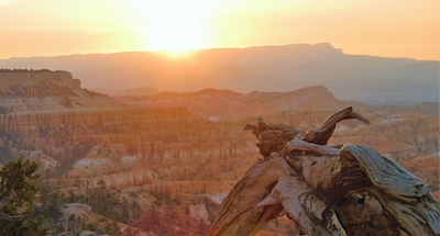 Lever du soleil Bryce Canyon