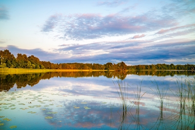 Lago Måsnaren