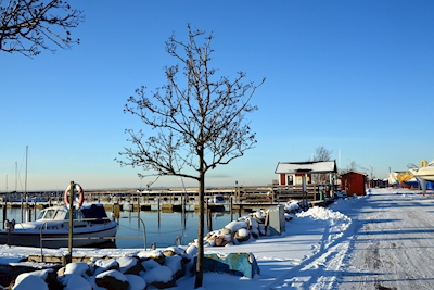 Vinterdag på Råå