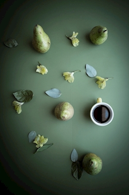 Coffee is a fruit -8