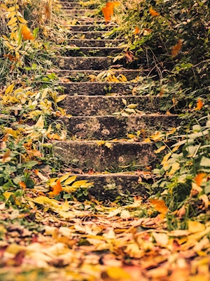 Escaleras de otoño