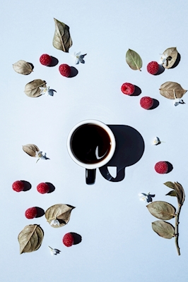 Coffee is a fruit -34