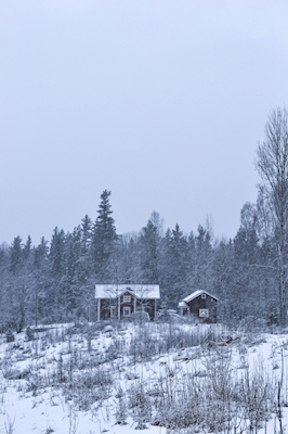 Haus im winterlichen Wald