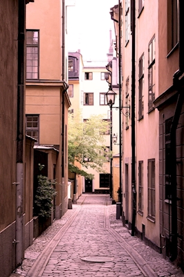 Stockholm alley