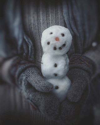 Bonequinho de neve