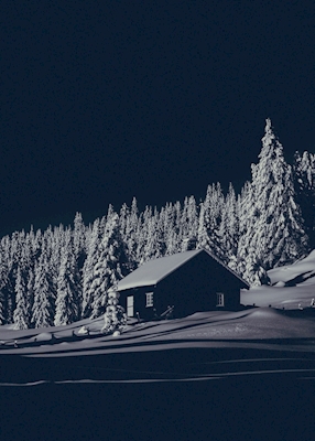 Moonlit cabin
