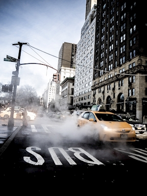 Street damp NYC