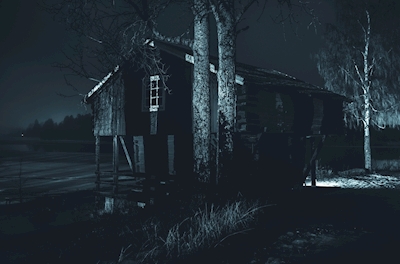 The house at night