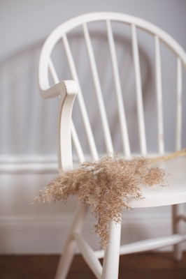 Pampas on chair 1