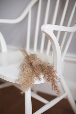 Pampas on chair 2