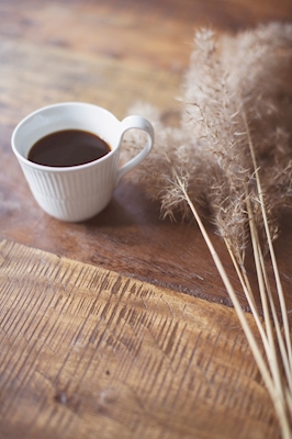 Coffe and pampas