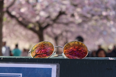 sunglasses in summer