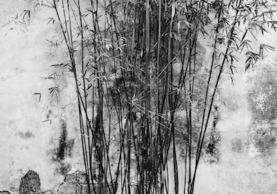 Bambus gegen Wand