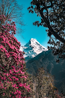 Annapurna söderut