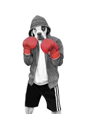 Street boxer