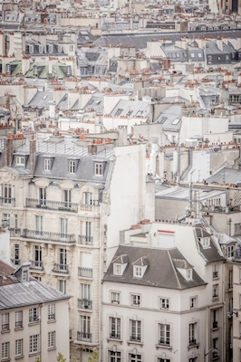 Rooftops in Paris