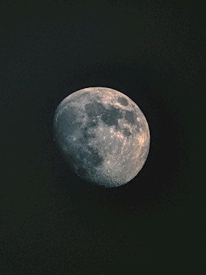 Lua Solitária
