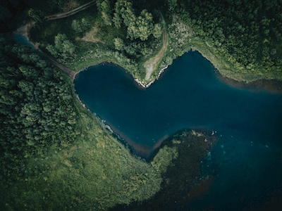 Hjertet af floden