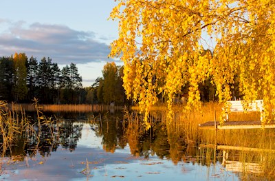 Podzim v Gärdsjönu