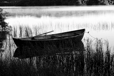 Rowingboat in black and white