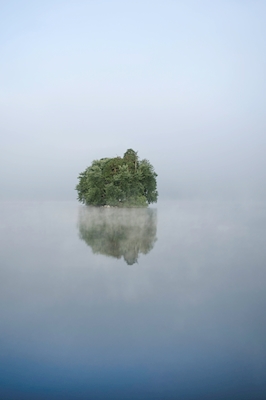 Neblina sobre o lago.