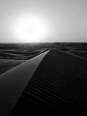 De Woestijn van Dubai