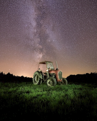 Old Beauty Under The Stars