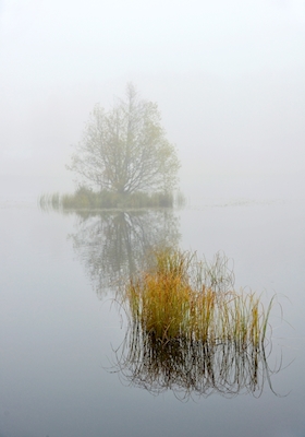Giornata autunnale nebbiosa in riva al lago