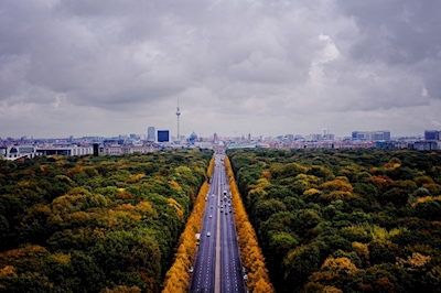 View over Tiergarten