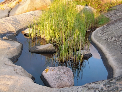 Vattenhål i Bohuslän