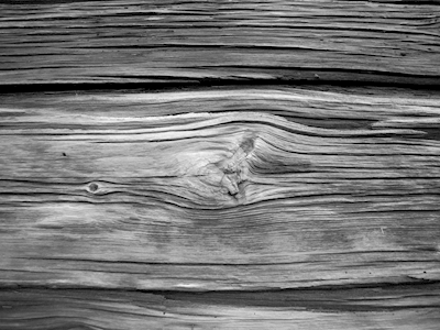 Kłoda drewna na pastwisku górskim czarno-biała