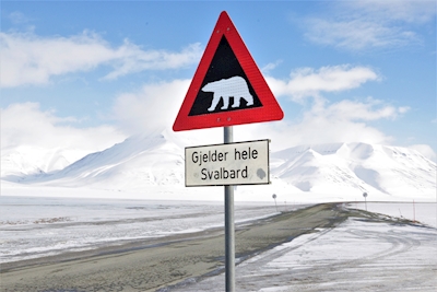 isbjörn_2 advarsel