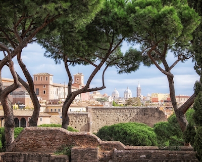 View from Capitoline Hill