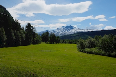 De dag van de zomer in Noorwegen