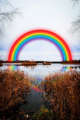 Sobre el arco iris