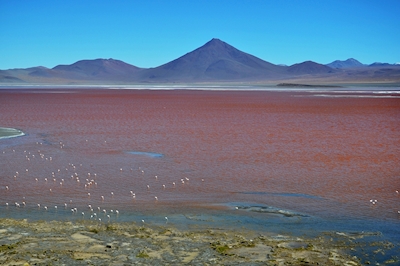 The Red lake in Bolivia